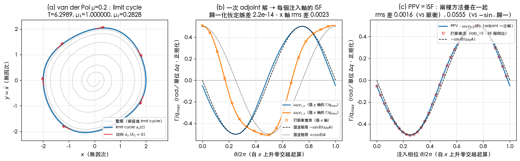 lab_25 數值驗證：(a) van der Pol μ=0.2 的 limit cycle 與切向（λ₁=0 方向）；(b) 一次 adjoint 解得到的週期左向量 v₁ 兩個分量＝兩個注入軸的 ISF，x 軸踢法用獨立脈衝掃描實測驗證；(c) PPV 算出的 ISF（線）與 lab_15 打脈衝法（紅圈）疊圖，rms 差 0.0016。