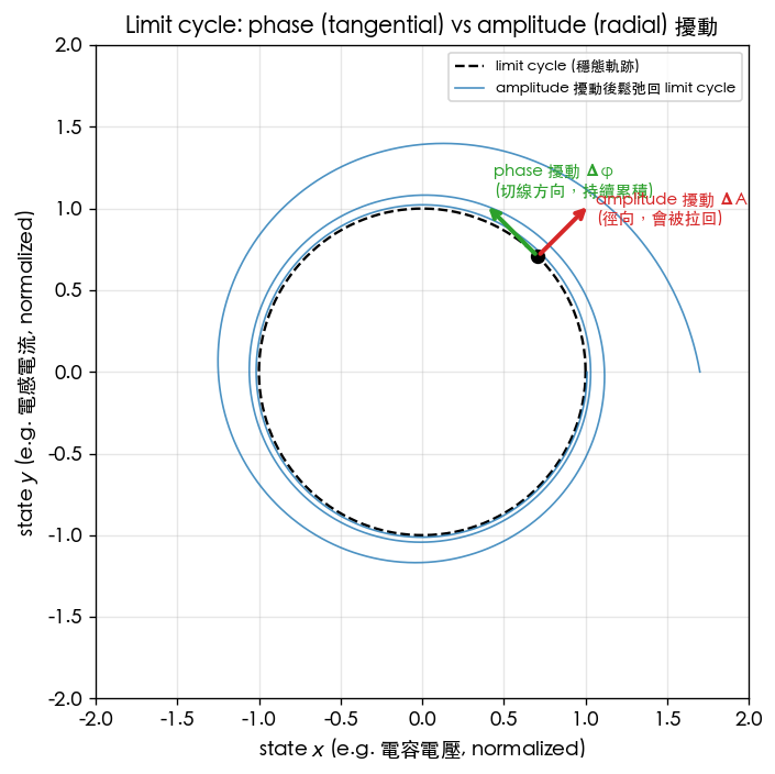 Phase (tangential) and amplitude (radial) perturbations on the limit cycle
